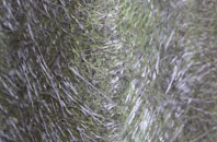 Galdanagh fibreglass roof work