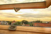 rated Galdanagh roof window companies